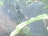 img039.jpeg.small.jpeg