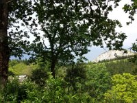 IMG 20150524 163801