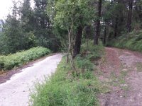 IMG 20150524 172802