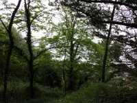 IMG 20150524 173350