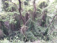IMG 20150524 174153