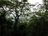 IMG 20150524 174202