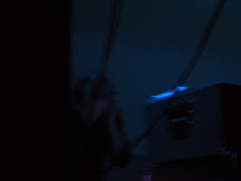 IMG_3710
